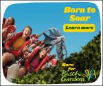Busch Gardens Williamsburg & Water Country USA: Ticket Discounts & 2014 Preschool Pass Deal