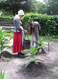 A visitor assists in watering tobacco at the Yorktown Victory Center's re-created 1780s farm. Courtesy of the Jamestown-Yorktown Foundation.