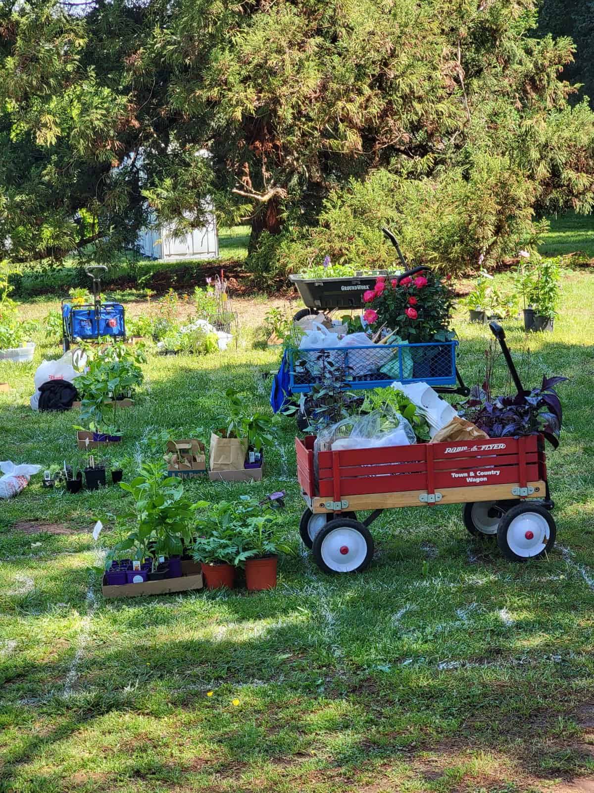 Plant Lovers' Paradise at Maymont’s Herbs Galore! Enjoying RVA and