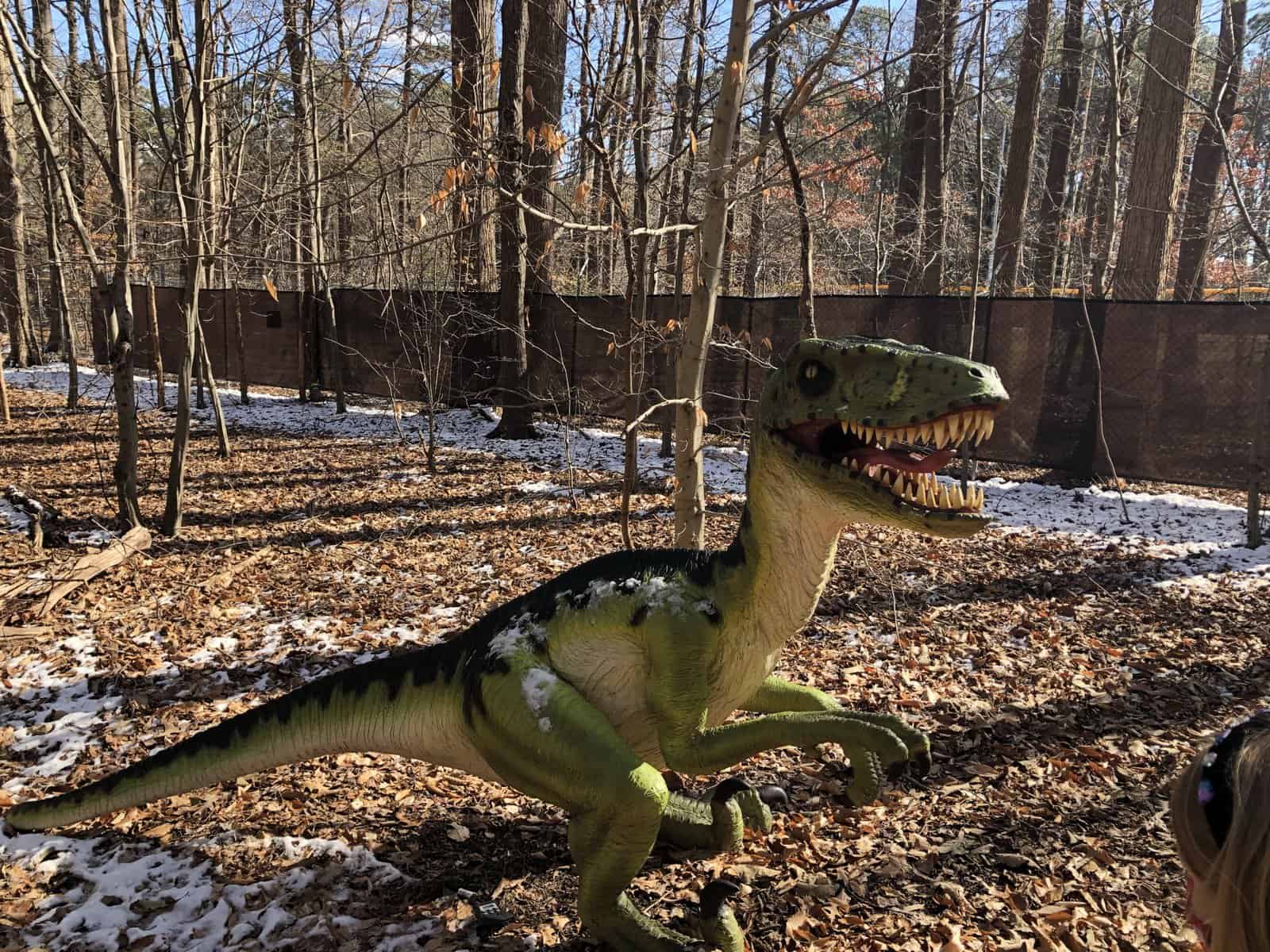 Dino Discovery Trail