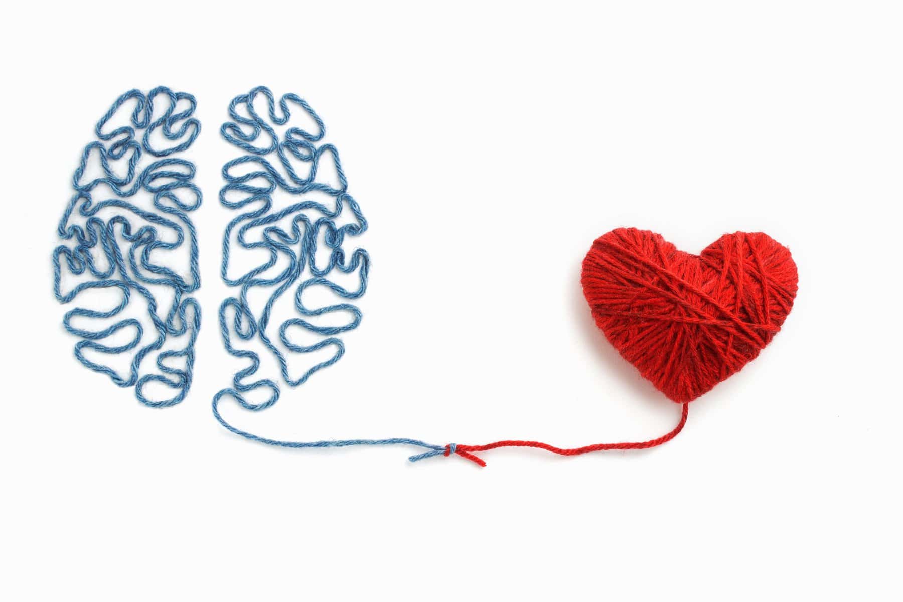 Heart and brain connected by a knot on a white background