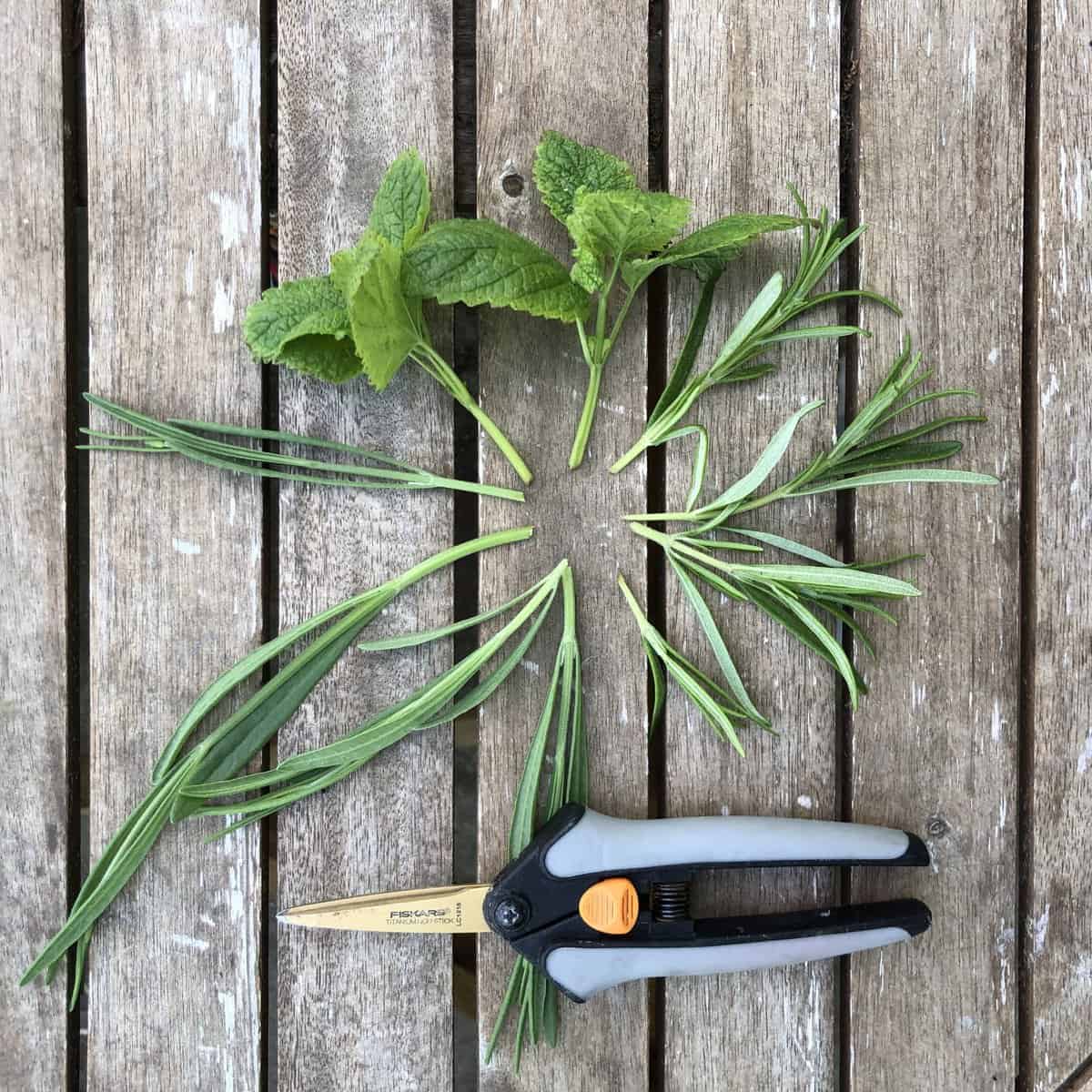 Herb Prop Supplies