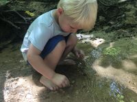 Robious Landing Park