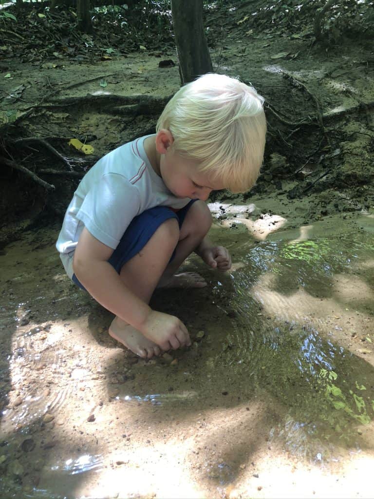 Robious Landing Park