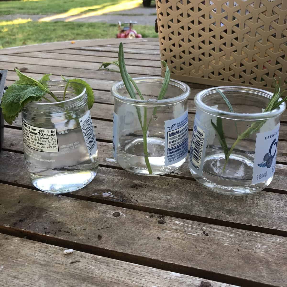 Water Propogation