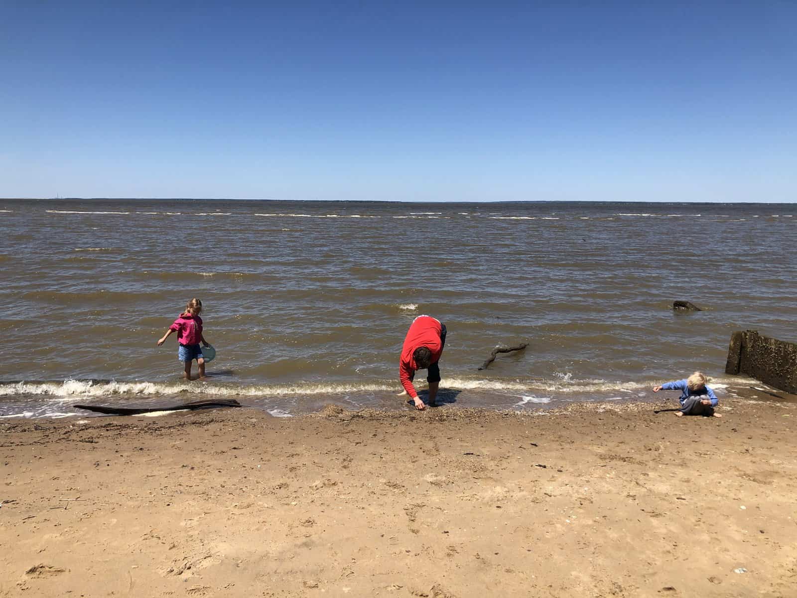 Hunting for shark teeth