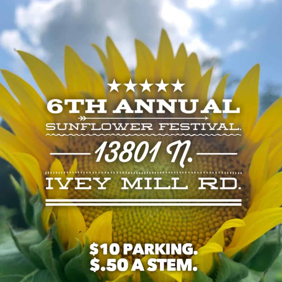 Fresh Branch Farm sunflower festival