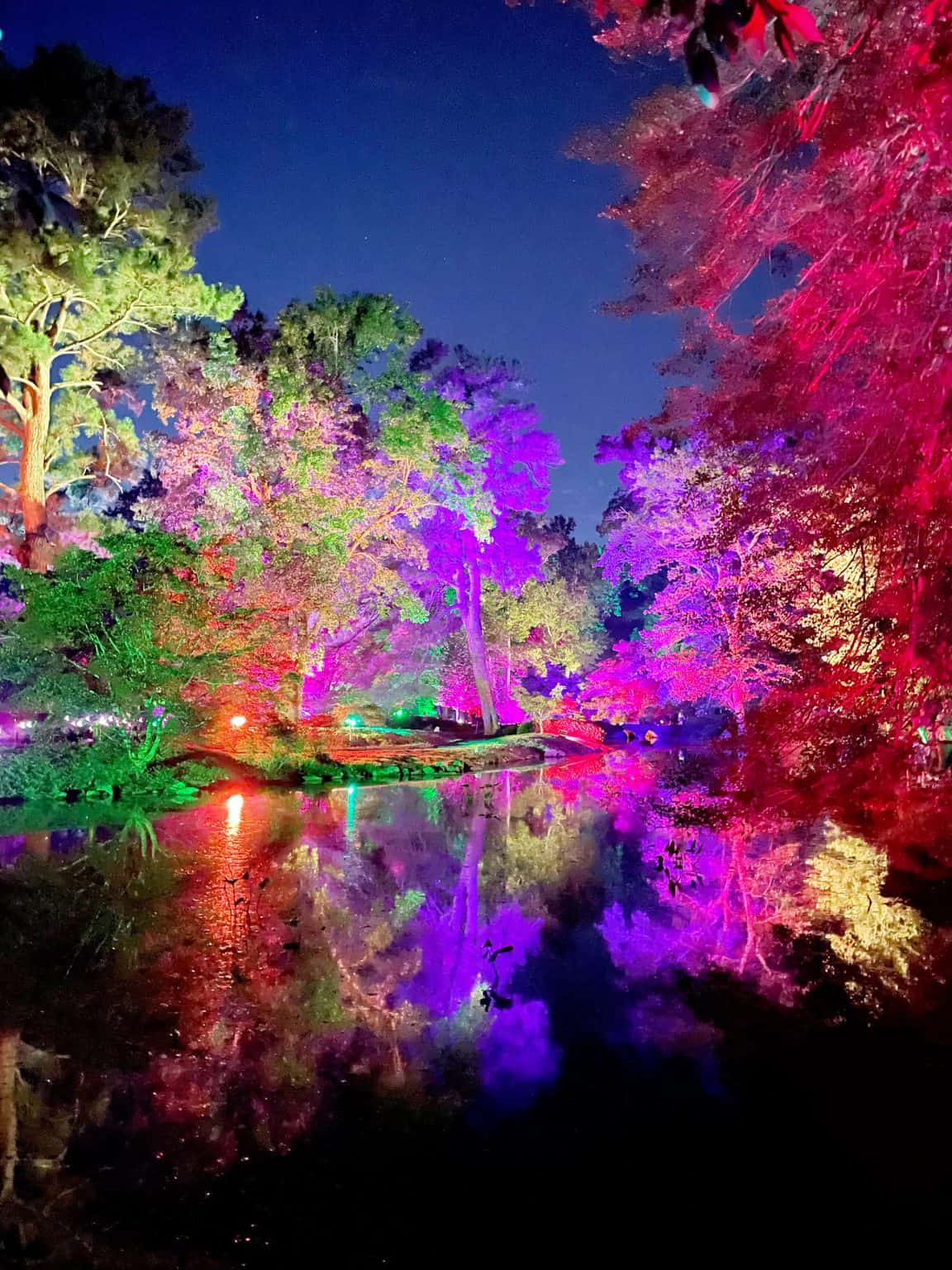 Maymont's 6th Annual Garden Glow! Enjoying RVA and all it has to offer!