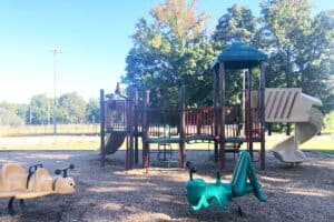 Ultimate List of Parks and Playgrounds In RVA Area