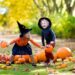 Halloween children pumpkins dp